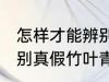 怎样才能辨别真假竹叶青 如何才能辨别真假竹叶青