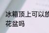 冰箱顶上可以放花盆吗 冰箱顶上能放花盆吗