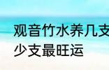 观音竹水养几支最旺运 观音竹水养多少支最旺运