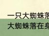一只大蜘蛛落在身边有什么兆头 一只大蜘蛛落在身边的兆头有什么