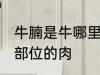 牛腩是牛哪里的肉 牛腩是牛身上哪个部位的肉