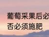 葡萄采果后必须施肥吗 葡萄采果后是否必须施肥