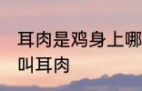 耳肉是鸡身上哪个部位 鸡的哪个部位叫耳肉