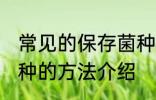 常见的保存菌种的方法 常见的保存菌种的方法介绍