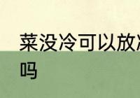 菜没冷可以放冰箱吗 菜没冷能放冰箱吗