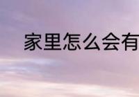家里怎么会有白蚁 白蚁怎么产生