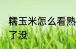 糯玉米怎么看熟了没 糯玉米如何看熟了没