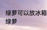 绿萝可以放冰箱上吗 冰箱上能不能放绿萝