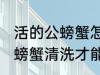 活的公螃蟹怎样清洗才能干净 活的公螃蟹清洗才能干净方法