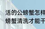 活的公螃蟹怎样清洗才能干净 活的公螃蟹清洗才能干净方法