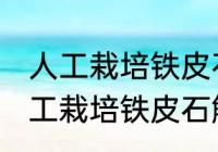 人工栽培铁皮石斛用什么土和水培 人工栽培铁皮石斛用哪些土和水培