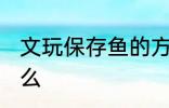 文玩保存鱼的方法 储存鱼的方法是什么