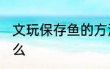 文玩保存鱼的方法 储存鱼的方法是什么