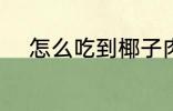 怎么吃到椰子肉 如何吃到椰子肉
