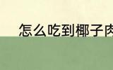 怎么吃到椰子肉 如何吃到椰子肉