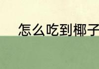 怎么吃到椰子肉 如何吃到椰子肉