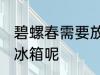 碧螺春需要放冰箱吗 碧螺春能不能放冰箱呢