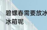 碧螺春需要放冰箱吗 碧螺春能不能放冰箱呢