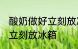 酸奶做好立刻放冰箱吗 酸奶做好是否立刻放冰箱