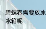 碧螺春需要放冰箱吗 碧螺春能不能放冰箱呢
