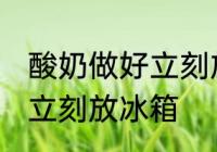 酸奶做好立刻放冰箱吗 酸奶做好是否立刻放冰箱