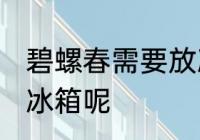 碧螺春需要放冰箱吗 碧螺春能不能放冰箱呢