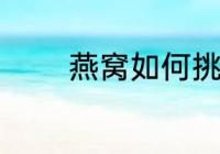 燕窝如何挑选 怎么挑选燕窝