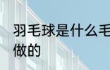 羽毛球是什么毛做的 羽毛球是哪种毛做的