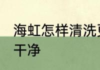 海虹怎样清洗更干净 如何清洗海虹更干净